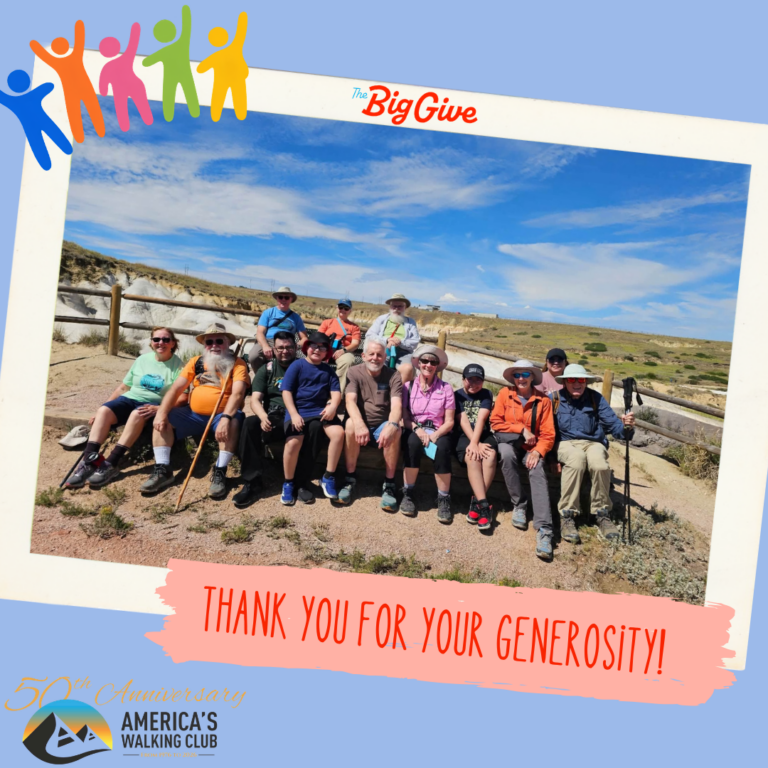 BigGive26_Graphics_2