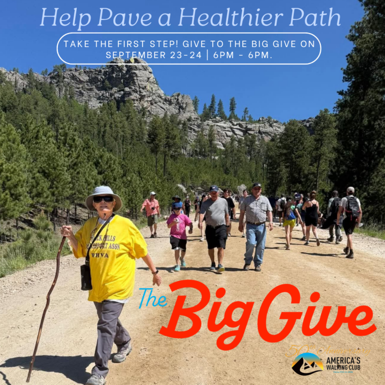 BigGive26_Graphics_6